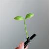 Bean Sprout Hair Clips 50pcs Sprouts Rave Mini Hair Clips Cute Artifacts Funny Little Bean Sprouts with Grass Sprouting for Girls For Party view 2