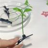 Bean Sprout Hair Clips 50pcs Sprouts Rave Mini Hair Clips Cute Artifacts Funny Little Bean Sprouts with Grass Sprouting for Girls For Party view 3