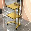Folding Stainless Steel Salon Trolley Cart with Wheels, Double-Layer Rolling Utility Stand for Barbershops, Spas, and Tattoo Studios view 1