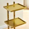 Folding Stainless Steel Salon Trolley Cart with Wheels, Double-Layer Rolling Utility Stand for Barbershops, Spas, and Tattoo Studios view 3