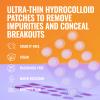 Good Molecules Pimple Patches for Face, 100 Pack Ultra-Thin Hydrocolloid Patches, Invisible Under Makeup, Conceals Blemishes, Blackheads & Zits, Suitable for Acne-Prone Skin view 4