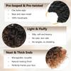 Pre-Looped Beach Curl Crochet Hair 14 Inch GoGo Curl Hair #1B/4/30 8 Packs view 4