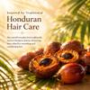 Aceite de Batana para La Caida Del Cabello, Tratamiento Hidratante y Reparador para Cabello Seco y Daado, Fortalece y Suaviza, Aroma a Caf Tostado (120ml Aceite de Batana Para el Cabello) view 2