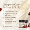 Aceite de Batana para La Caida Del Cabello, Tratamiento Hidratante y Reparador para Cabello Seco y Daado, Fortalece y Suaviza, Aroma a Caf Tostado (120ml Aceite de Batana Para el Cabello) view 4