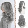 FESHFEN Wavy Layered Wig with Curtain Bangs for Women, 20 Inch Grey Long Synthetic Natural Looking Middle Part Hair Wig For Costume Party Daily Use view 1