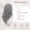 FESHFEN Wavy Layered Wig with Curtain Bangs for Women, 20 Inch Grey Long Synthetic Natural Looking Middle Part Hair Wig For Costume Party Daily Use view 3