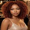 KLAIYI Reddish Brown Afro Kinky Curly Glueless Precut 7x5HD Lace Front Wigs Human Hair Bye Bye Knots Pre Plucked Bleached Pre Everything 3S Ready to Wear and Go Beginner Wig with Baby Hair 180% 16Inch view 1