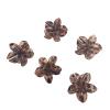1/2/5/10pcs Frangipani Hair Claws Hawaiian Gradient Leopard Clips Vacation Beach Style Hairpins Accessories For Women(1pcs) view 1