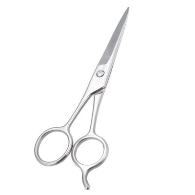 BCOATH Stainless Steel Beard and Eyebrow Scissors, Silver Hairdressing Scissors for Mens Facial Hair Grooming and Daily Beard Care