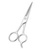 BCOATH Stainless Steel Beard and Eyebrow Scissors, Silver Hairdressing Scissors for Mens Facial Hair Grooming and Daily Beard Care view 1