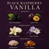 Affinati Black Raspberry Vanilla 10 oz Body Lotion for Dry Skin Deep Hydration Moisturizer, Lightweight & Fast Absorbing, Daily Skin Care for Men & Women view 4