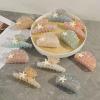 Conch Claw Clips,Conch Hair Clips,Shell Claw Clip,Animal Shape Hair Jaw Clips, Acetate Hair Clips for Girls,Small Claw Barrettes for Women (s2) view 4
