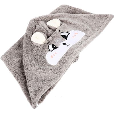 HANABASS Cartoon Squirrel Coral Fleece Hair Drying Towel Wrap Super Absorbent Thick Water-Absorbent Hair Wrap Cap for Women and Quick Dry for Bath and Travel