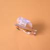 Funny Golden Shorthair Cat Hair Clips,Acetate Kitty Hair Clip,Cartoon Cat Claw Clips for Women view 4