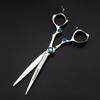 Premium 6.0 Japanese Hair Cutting Scissors - Professional Silver Hairdressing Shears For Stylists & Barbers - Precision Haircutting Tools view 1