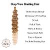 27 613 Ombre Boho Hair for Braiding Curly Braiding Hair Pre stretched view 3
