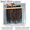 DSEKCAIN Burmese Curly Human Hair Bundles With Closure Highlight Brown P1B/30 Color 100% Real Virgin Human Hair 3 Bundles 22 24 26 With 20 Inch 2x6 Long Part Lace Closure 3c4a Spiral Curly End view 2