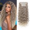 REECHO Curly Clip in Hair Extensions, 4PCS 24 inch Long Hair Extensions Clip ins Lace Weft Natural Hairpieces for Women Daily,Glazed Mocha to Blonde view 1
