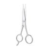 NinthAvenue Basics Stainless Steel Beard and Eyebrow Scissors Silver, Precision Hairdressing Tool for Facial Hair Grooming, Mustache Trimming Accessory for Daily Mens Care view 1
