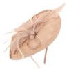 IWOWHERO Floral Veil Hair Band Party Hair Accessory for Women Nude Pink Bridal Headwear with Mesh Veil view 1