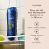 Suave Men Citrus Rush 3-in-1 Shampoo, Conditioner, and Body Wash with Citrus and Sandalwood Scent, Daily Clean, 12.6 oz, 6 Pack view 2