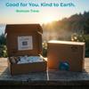 Bomramtrove Eco Cleaning Gift Set - Bamboo Toothbrush Natural Loofah Kit view 2
