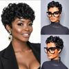 Pixie Cut Wig Human Hair Short Pixie Wigs for Black Women Short Glueless Wigs Human Hair Pre Plucked Pre Cut Brazilian Virgin Human Hair Wigs for Black Women Short Pixie Cut Wigs Human Hair (025-1B) view 2