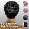 Pixie Cut Wig Human Hair Short Pixie Wigs for Black Women Short Glueless Wigs Human Hair Pre Plucked Pre Cut Brazilian Virgin Human Hair Wigs for Black Women Short Pixie Cut Wigs Human Hair (025-1B) view 4