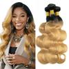 12 14 16 Inch Body Wave Human Hair Bundles 1B27 Ombre Blonde Body Wave Bundles Two Tone Black To Honey Blonde Bundles Human Hair Extensions 150g view 1