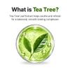 Exomere Tea Tree Bubble Cleanser view 4