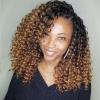 Beaushine 15A Ombre Burmese Curly 1 Bundle Human Hair 16 Inch, 3 Tone Chestnut Brown Color 3C4A Deep Water Wave with Spiral Curly Ends, 100% Raw Curly Human Hair Double Weft Full Natural Look view 2