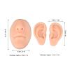 BTSEURY Silicone Ear Nose Model, 3D Simulated Skin Texture for Piercing Practice, with Realistic Size and Touch, for Jewelry Display, Nose Plastic Surgery, Suture Training (Light Skin) view 3