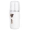 RASTKY Facial Humidifier Mini Portable Nano Atomization USB Charging Face Mist Sprayer for Dry Skin 30ml Mini Facial Humidifier Friends and Family (White) view 1