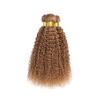 Honey Blonde Kinky Curly Bundles 22 24 26 Inch Brazilian Unprocessed Virgin Hair Extensions Color #27 Curly 3 Bundles 150g view 4