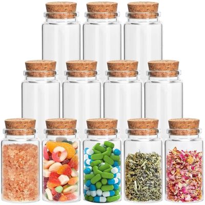 Bingche 100ml Mini Glass Bottles Small Glass Jars with Cork Stoppers Lids Empty Spell Jars Miniature Potion Bottles Message Wishing(12Pcs)