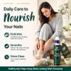 Blizzard NailNourish Roll-On for Fingernails and Toenails - Nourishing Nail Care Serum with Clove and Cinnamon Bark Extract - Conditions and Hydrates for Healthy-Looking Nails - 0.34 fl oz (10 ml) view 2