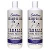 Cabellina Shampoo Del Caballo, with Horsetail Plant Extract, Provides Volume and Shine to Your Hair, 32 FL Oz, 2-Pack view 1