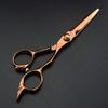 NUHSLF Hair Cutting Scissors, 6 Inch Professional Japan 440C Bronze Cut Cutting Barber Haircut Scissor Thinning Shears Hairdressing Scissors By (Set) view 3