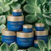 InfiniteAloe Complete Skin Care, Aloe Vera Powered Face and Body Cream for All Skin Types, Midnight Scent (4 Large Jar 8 oz & 4 Travel Jar 0.5 oz) view 3