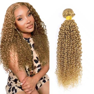 AiPliantfis 30 Inch #27 Blonde Water Wave Bundles Human Hair 1 Bundle 100 Gram Per Bundle Unprocessed Brazilian Virgin Remy Hair Honey Blonde Color Water Wave Bundle Human Hair Weave Extenions