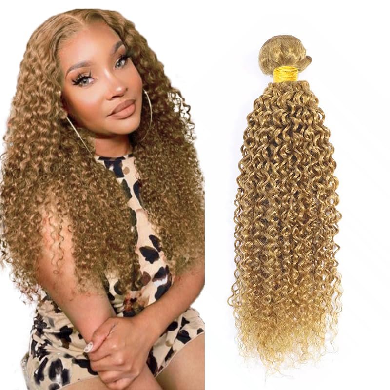 AiPliantfis 30 Inch #27 Blonde Water Wave Bundles Human Hair 1 Bundle 100 Gram Per Bundle Unprocessed Brazilian Virgin Remy Hair Honey Blonde Color Water Wave Bundle Human Hair Weave Extenions