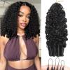 Feather Crochet Human Hair 16 Inch 120g Burmese Curly Crochet Human Hair Knotless Pre-Separated Burmese Curly Human Hair Bundles Extensions Natural Color view 1