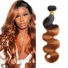 22 inch Brown Bundles Human Hair 1B30 Body Wave Human Hair Ombre Brown Body Bundles Wet And Wavy Unprocessed Brazilian Virgin Hiar Brown Body Wave Bundles view 1