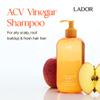 LA'DOR ACV Vinegar Shampoo for Oily Flaky Scalp & Hair, 17.91 Fl Oz view 2