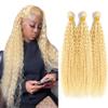 FYZENOX 613 Blonde kinky Curly Human Hair Bundles 08 10 12 Inch Unprocessed Brazilian Virgin Hair Blonde Curly Wave Extensions Soft Double Weft Weave for Women view 1