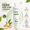BYS Pro Bulbo Forte Hair Shampoo Byspro | Shampoo Capilar Para Cabello Debil con Tea Tree Oil Extractos Frutales Citricos y Vitamina E Colombia 33.8oz 1000ml view 3