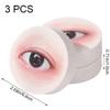 Vjnyvs Eyelash Grafting Practice Sponge Realistic Eye Makeup Model Training Tools for Beginners to Practice Eyelash Grafting view 4