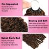 Burmese Curly Feather Crochet Human Hair 22 Inch Chocolate Brown 4# Color Miracle Knots Pre-Separated 50 Strands Human Crochet Hair for Black Women Lightweight Invisible Extensions (22 Inch,60g) view 3