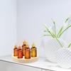 GANAZONO Essential Oil Bottle Organizer Box Slot round Tray Holder for Perfume and Nail Oil Storage Glass Bottle Display Stand Compact Container for Desktop and Workbench Use view 4