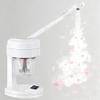Flarzentic Nano Ionic Facial Steamer with 500cc Water Tank view 1